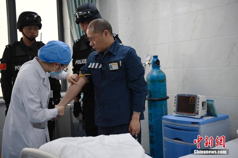 大厨任务下载